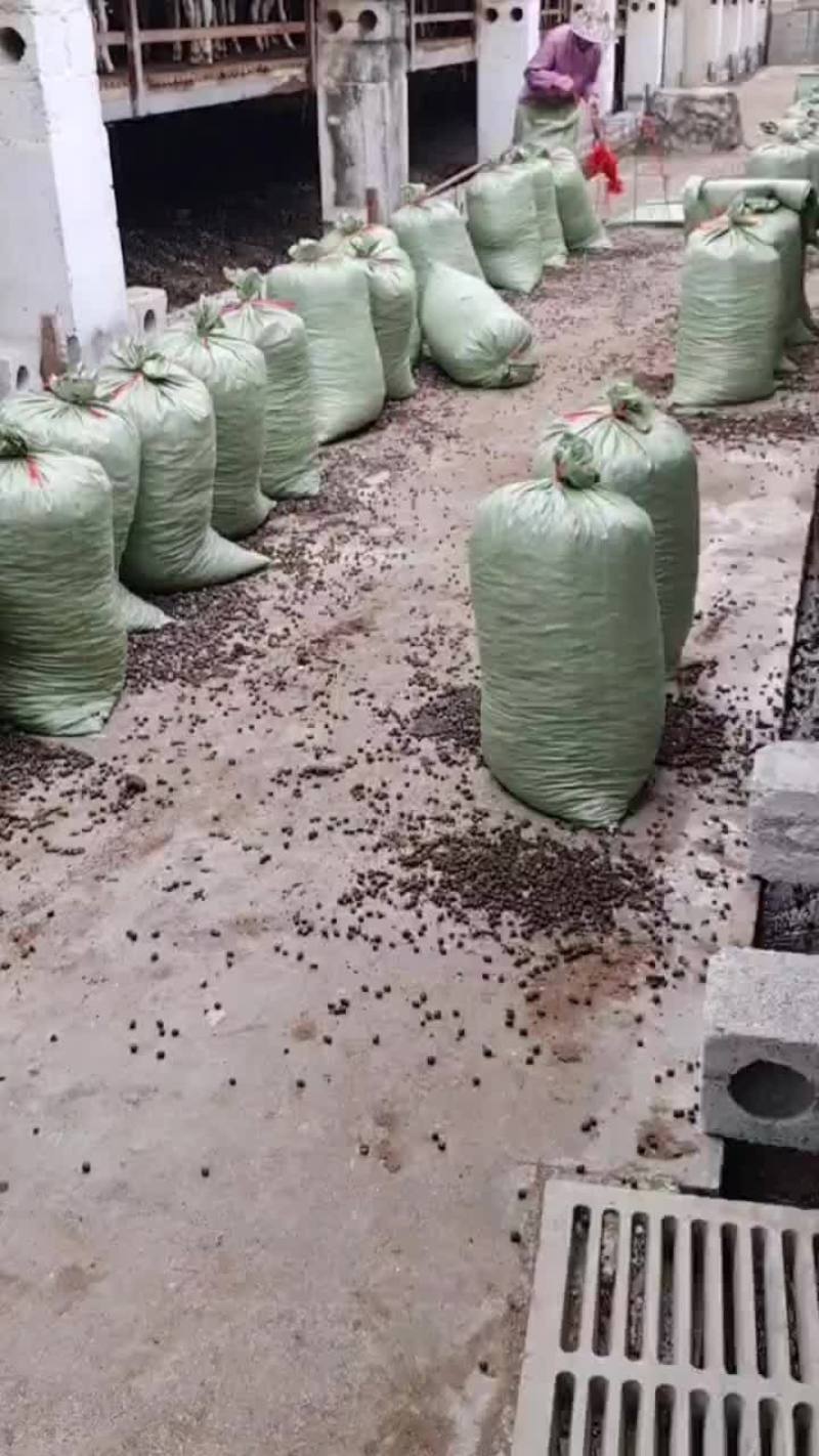 广西纯羊粪有机肥料