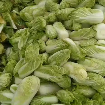 黄心娃娃菜，自家种植