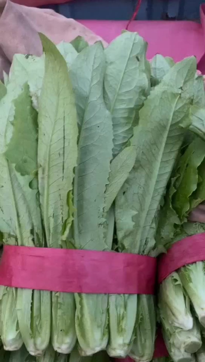 邯郸精品油麦产地，供应各大批发市场超市电商