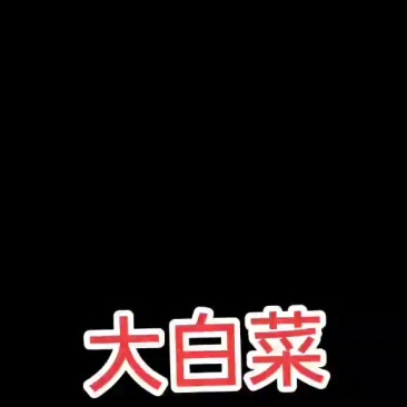 湖北襄阳蔬菜基地大量出售各种蔬菜