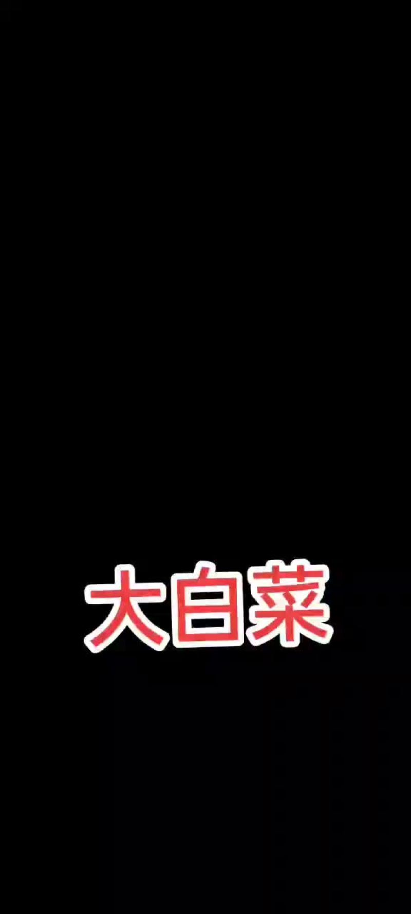 湖北襄阳蔬菜基地大量出售各种蔬菜