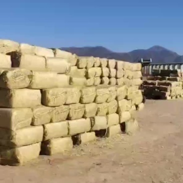 玉米秸秆打包草块，
