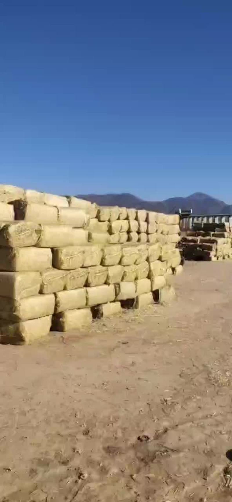 玉米秸秆打包草块，