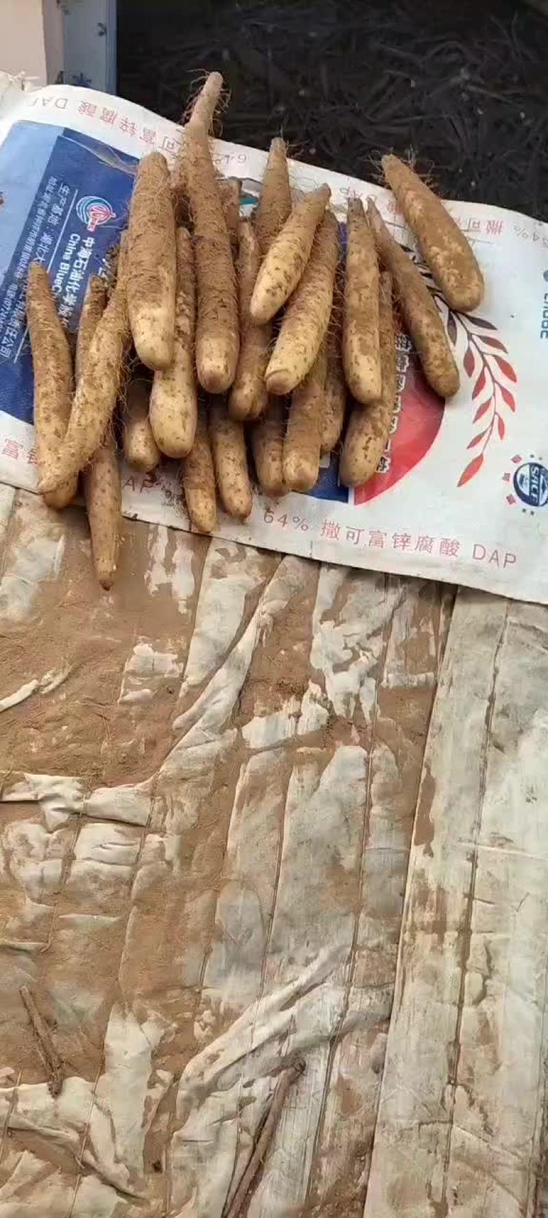 内蒙古鄂尔多斯市鄂托克前旗