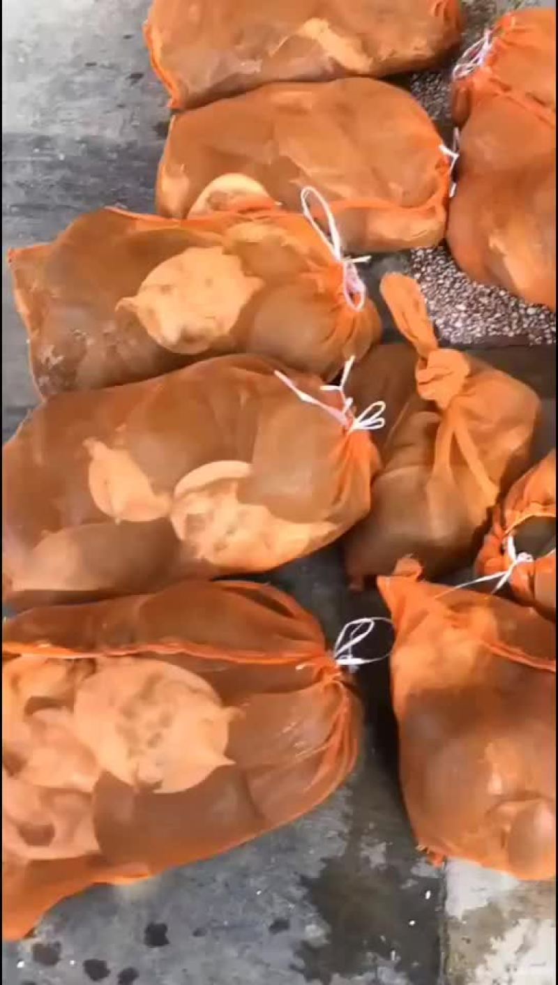 外塘麻辣甲鱼批发半斤到一斤规格，卤甲鱼专用塘口现抓现发
