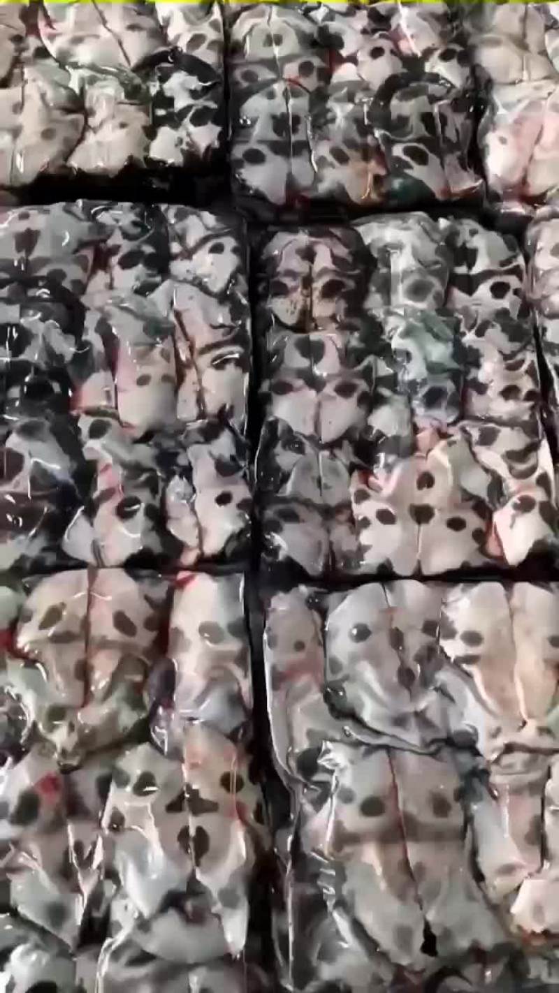 麻辣甲鱼批发宰杀干净去皮去油卤甲鱼专用，到家就可以用