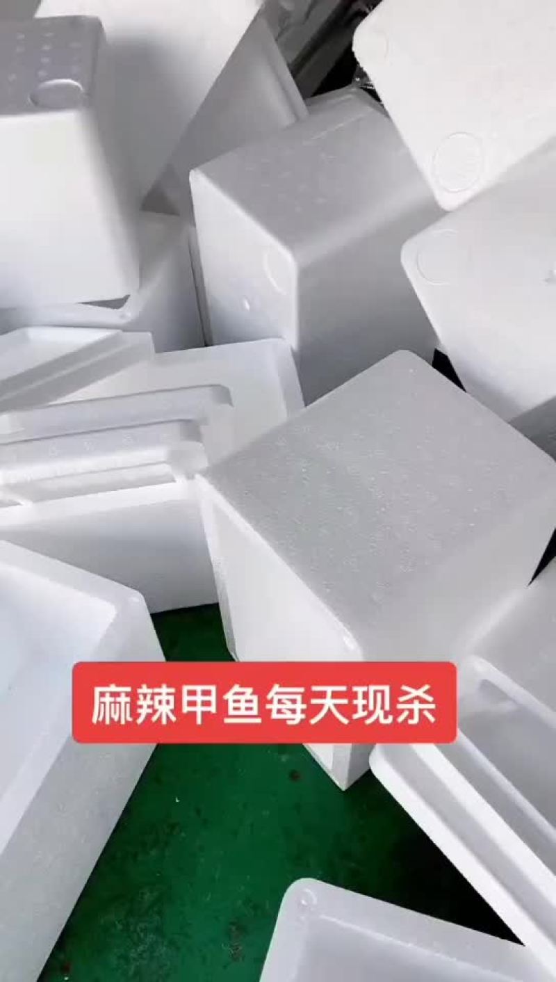 麻辣甲鱼批发宰杀干净去皮去油卤甲鱼专用，到家就可以用