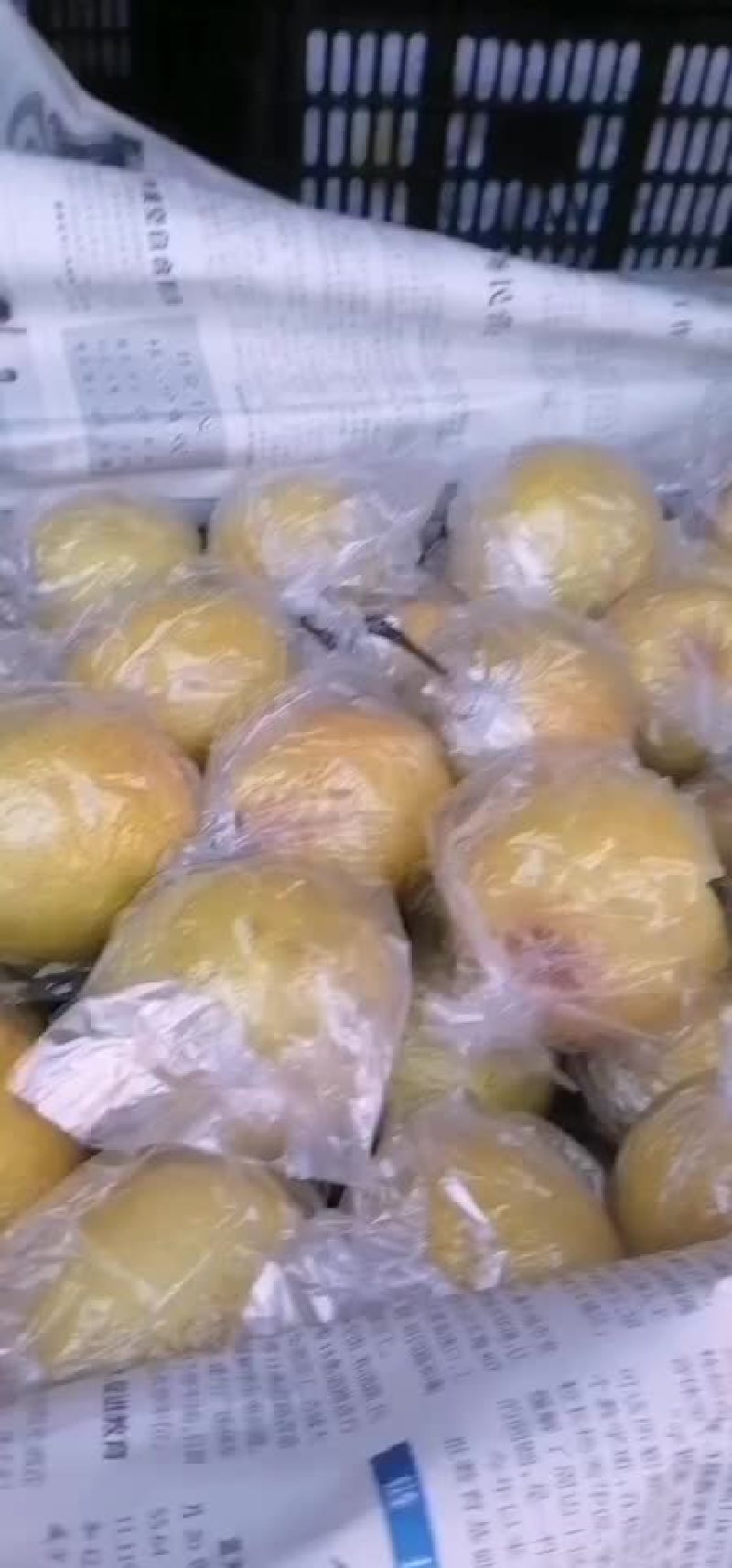 蜜梨大量有货
