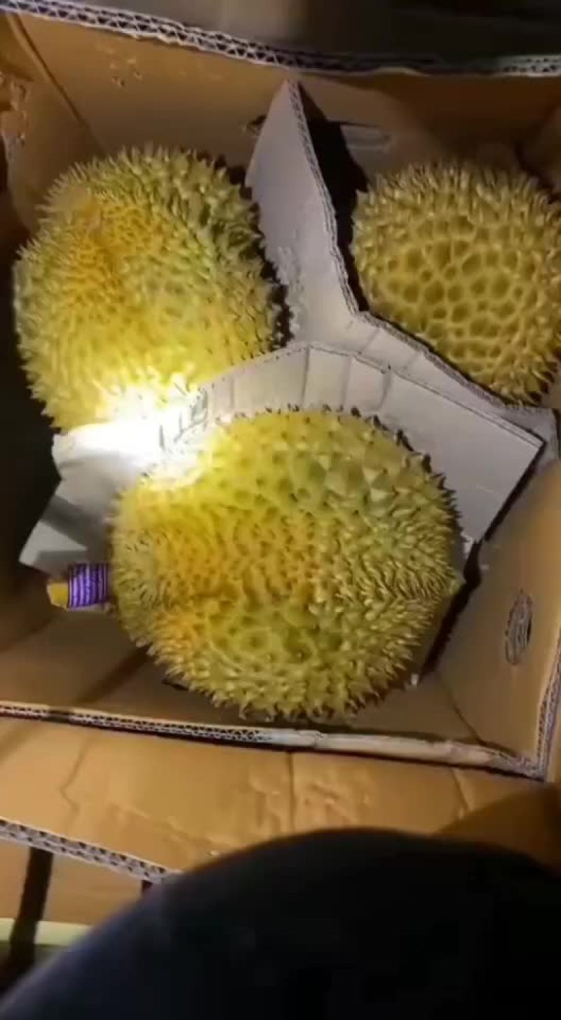 榴莲