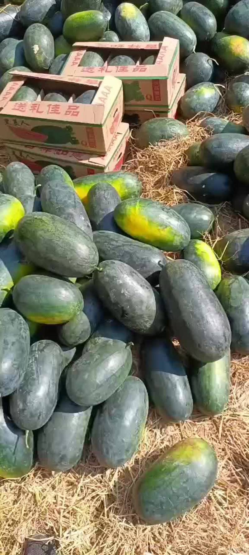 广州西瓜