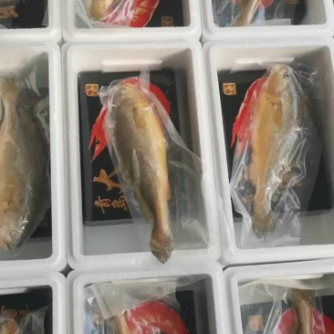 礼盒走起来