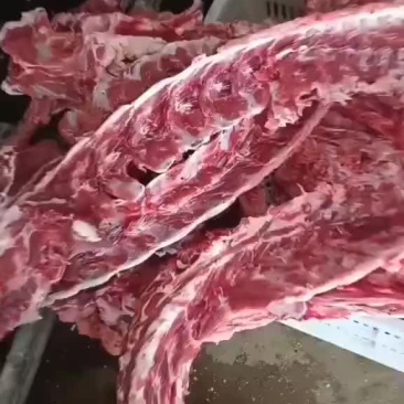 羊蝎子