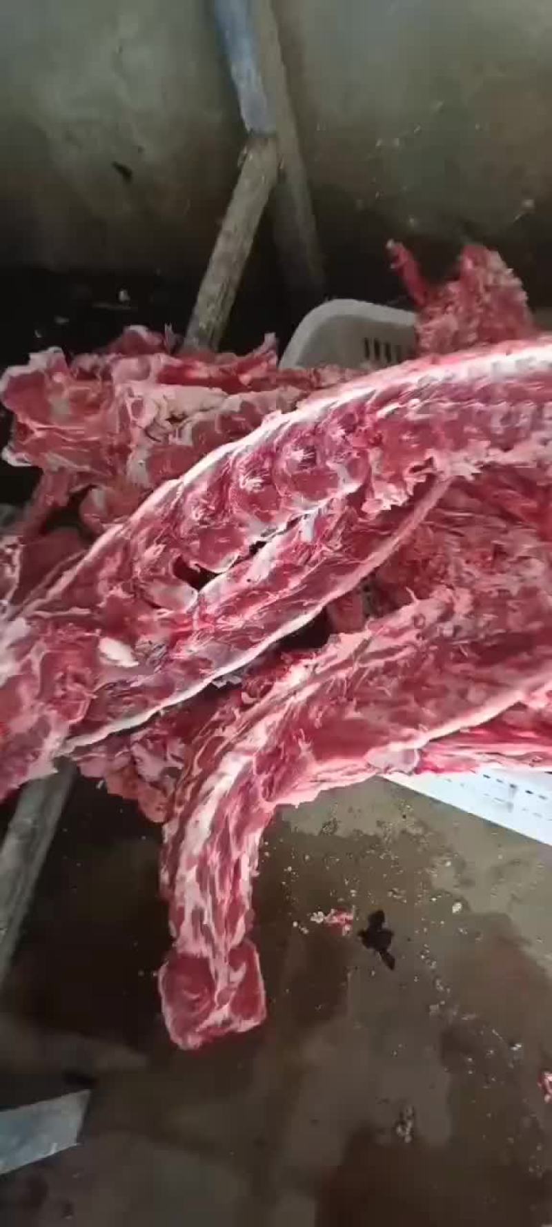 羊蝎子