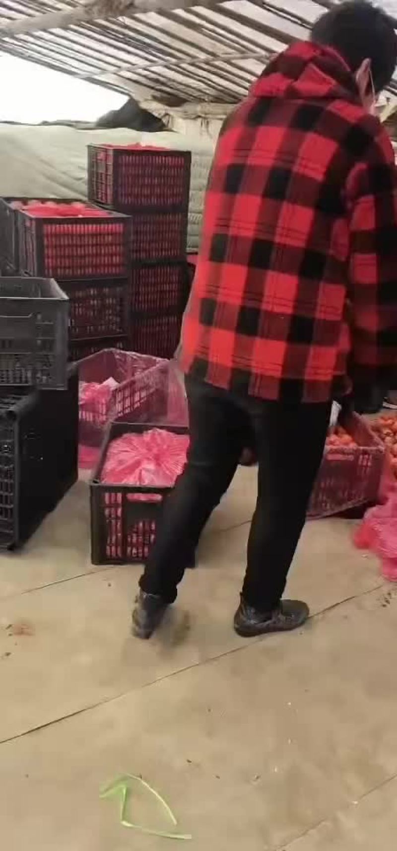 西红柿