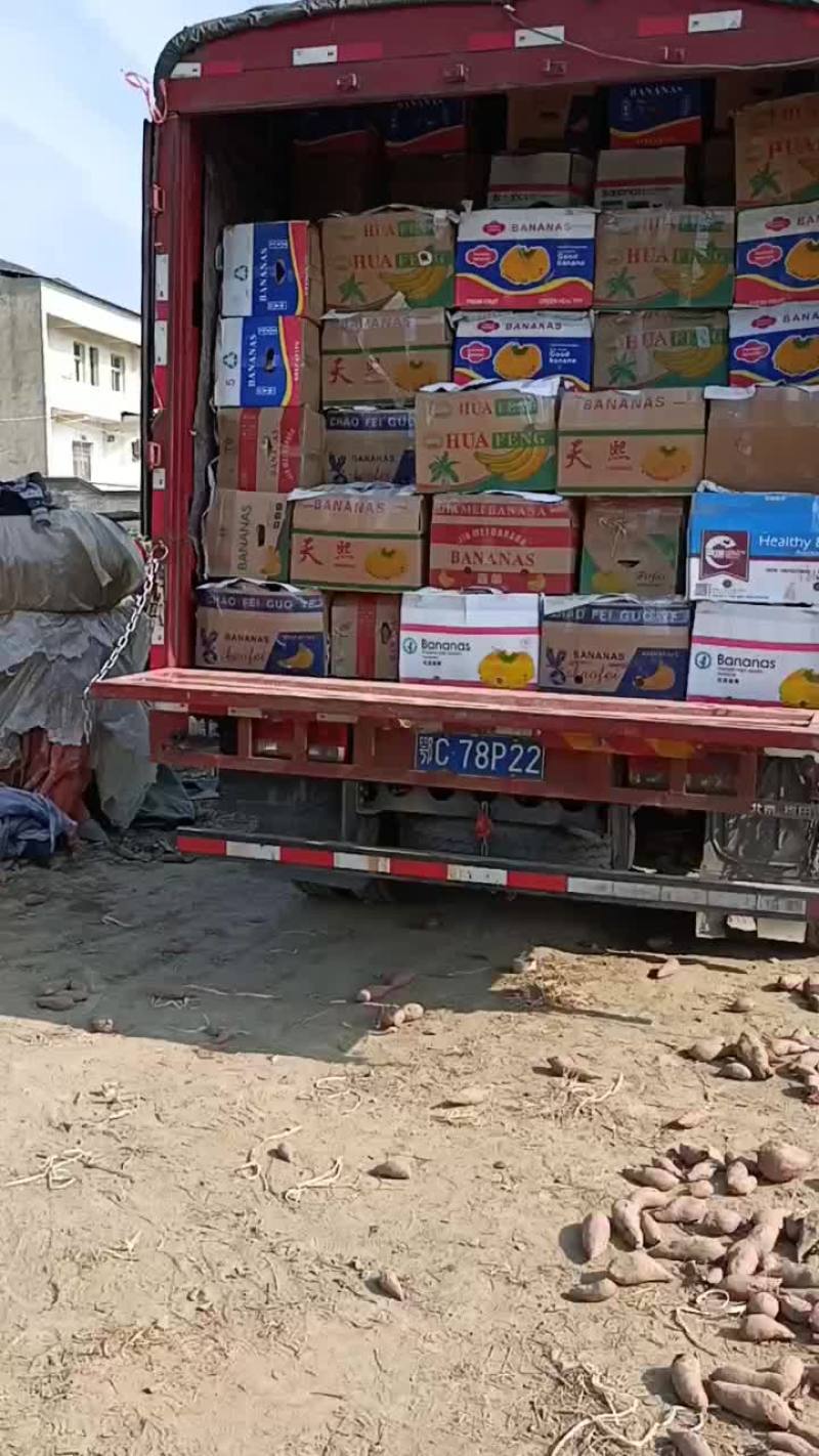 西瓜红红薯