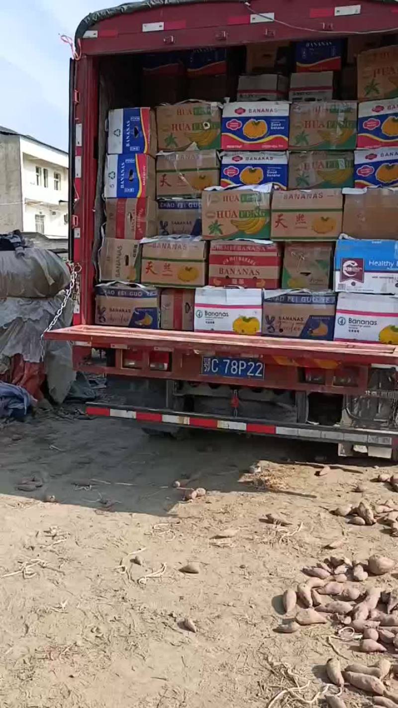 西瓜红红薯