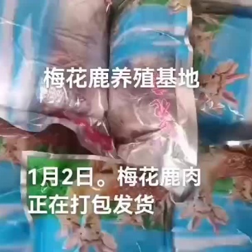 梅花鹿肉