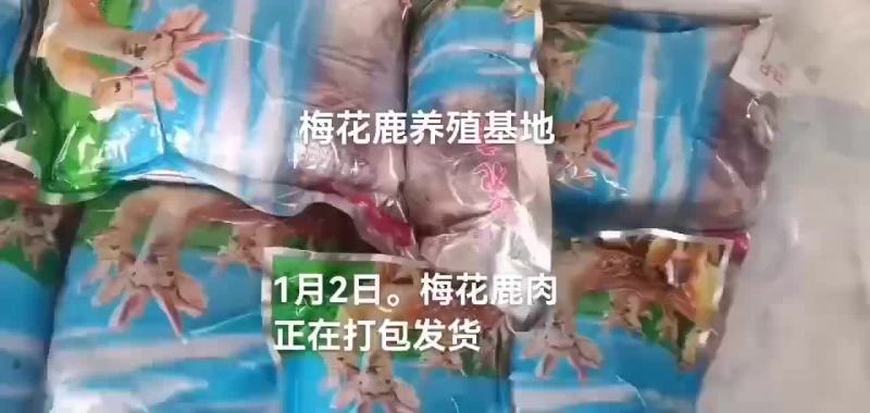 梅花鹿肉
