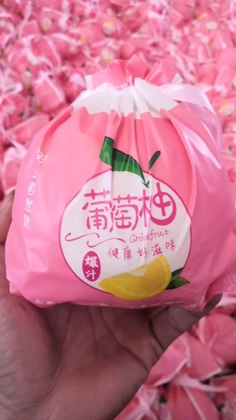 精品葡萄柚