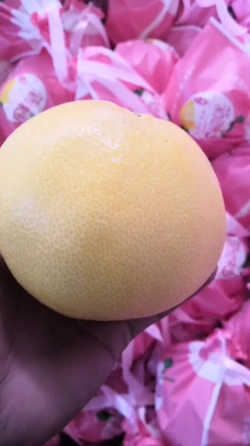 精品葡萄柚