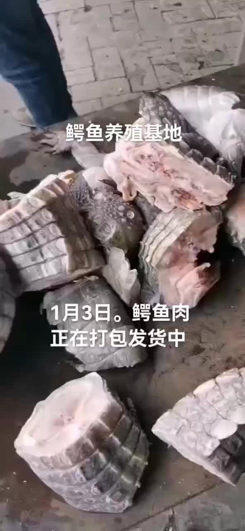 鳄鱼肉