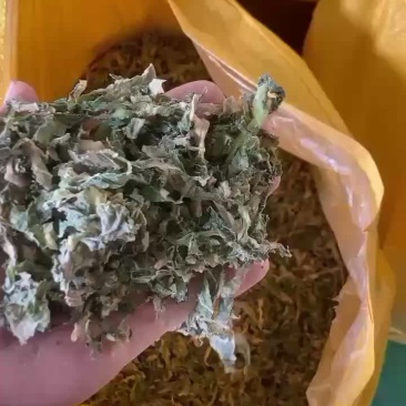 梅干菜叶子菜
