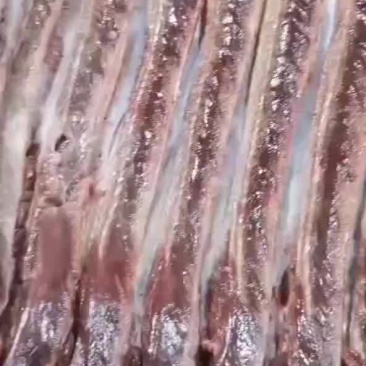 五香驴肉