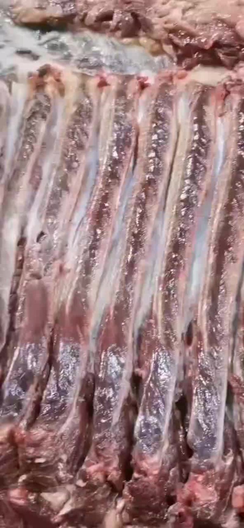五香驴肉