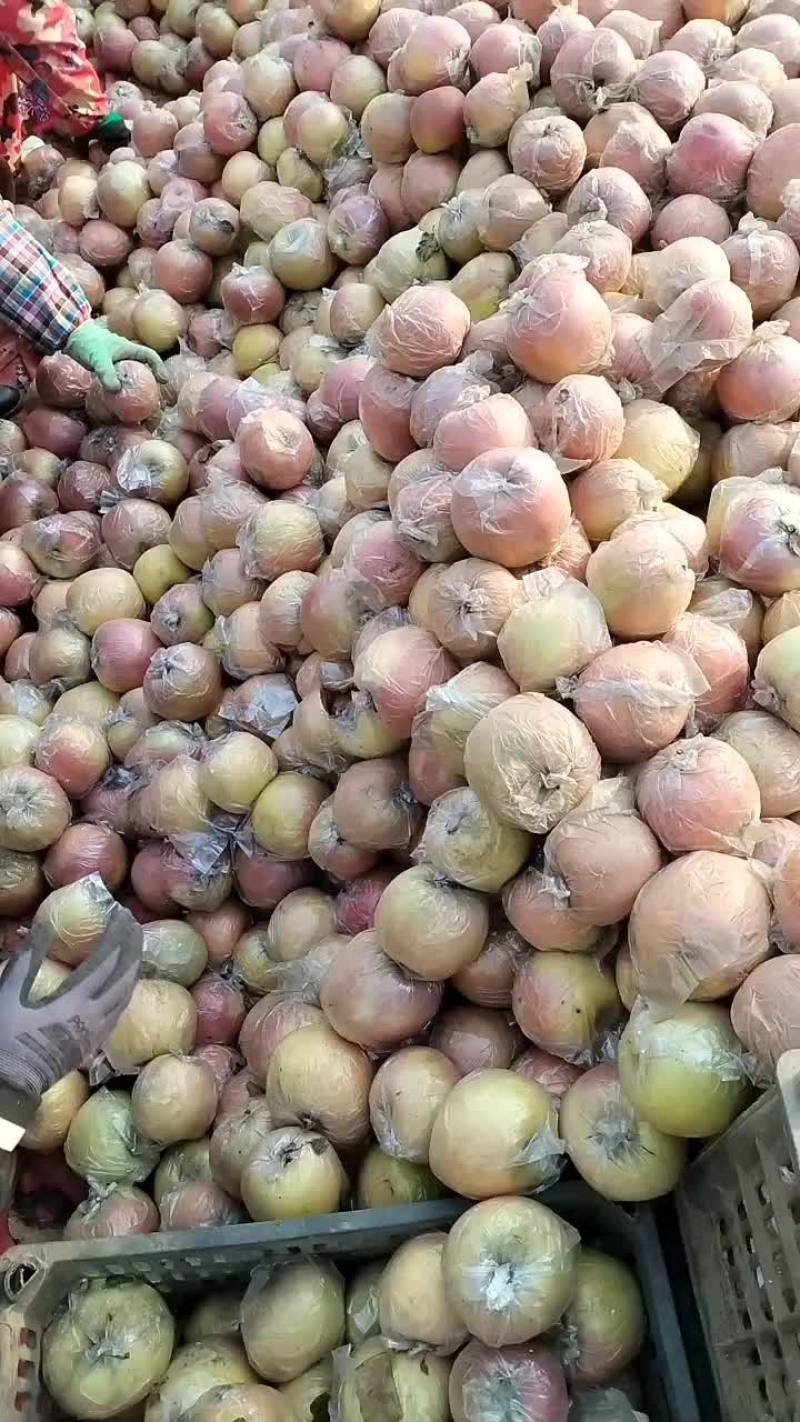 膜袋富士大量有货