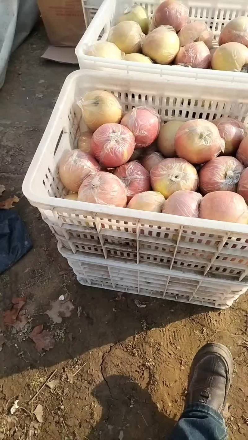 膜袋富士大量有货