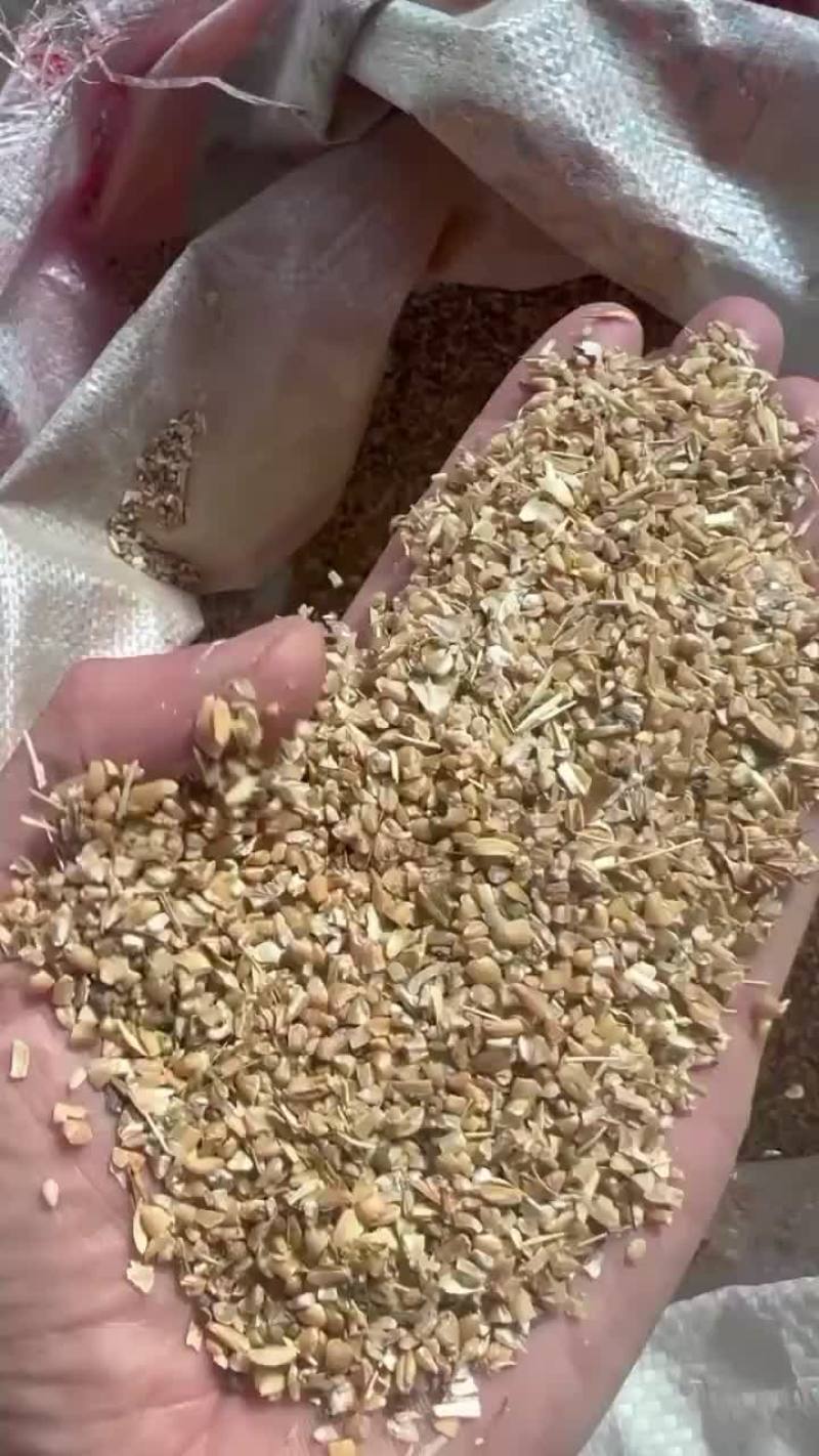 碎小麦