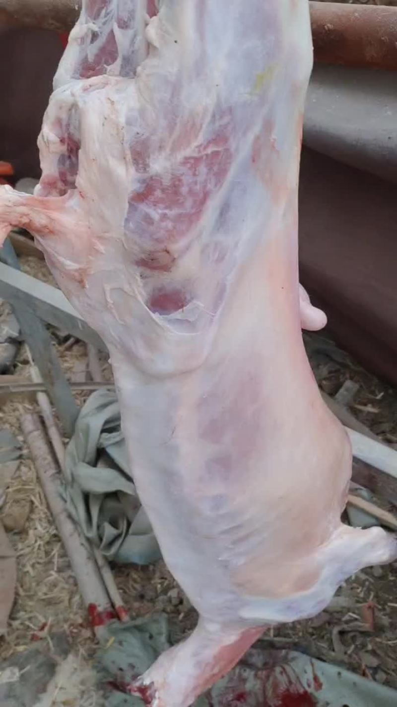 羊腔子