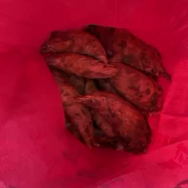 冬笋