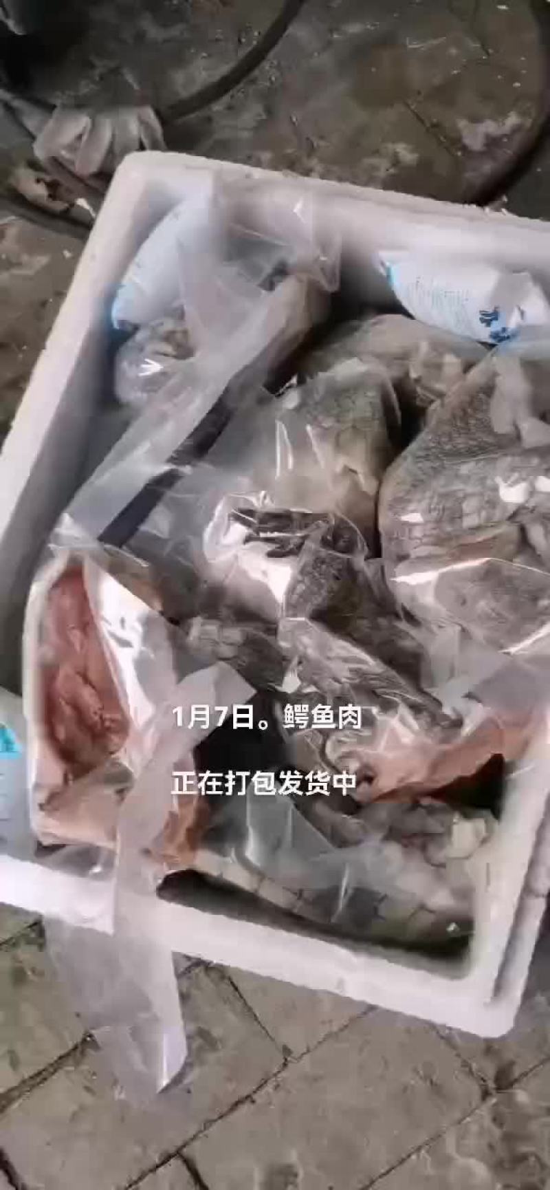 鳄鱼。鳄鱼肉