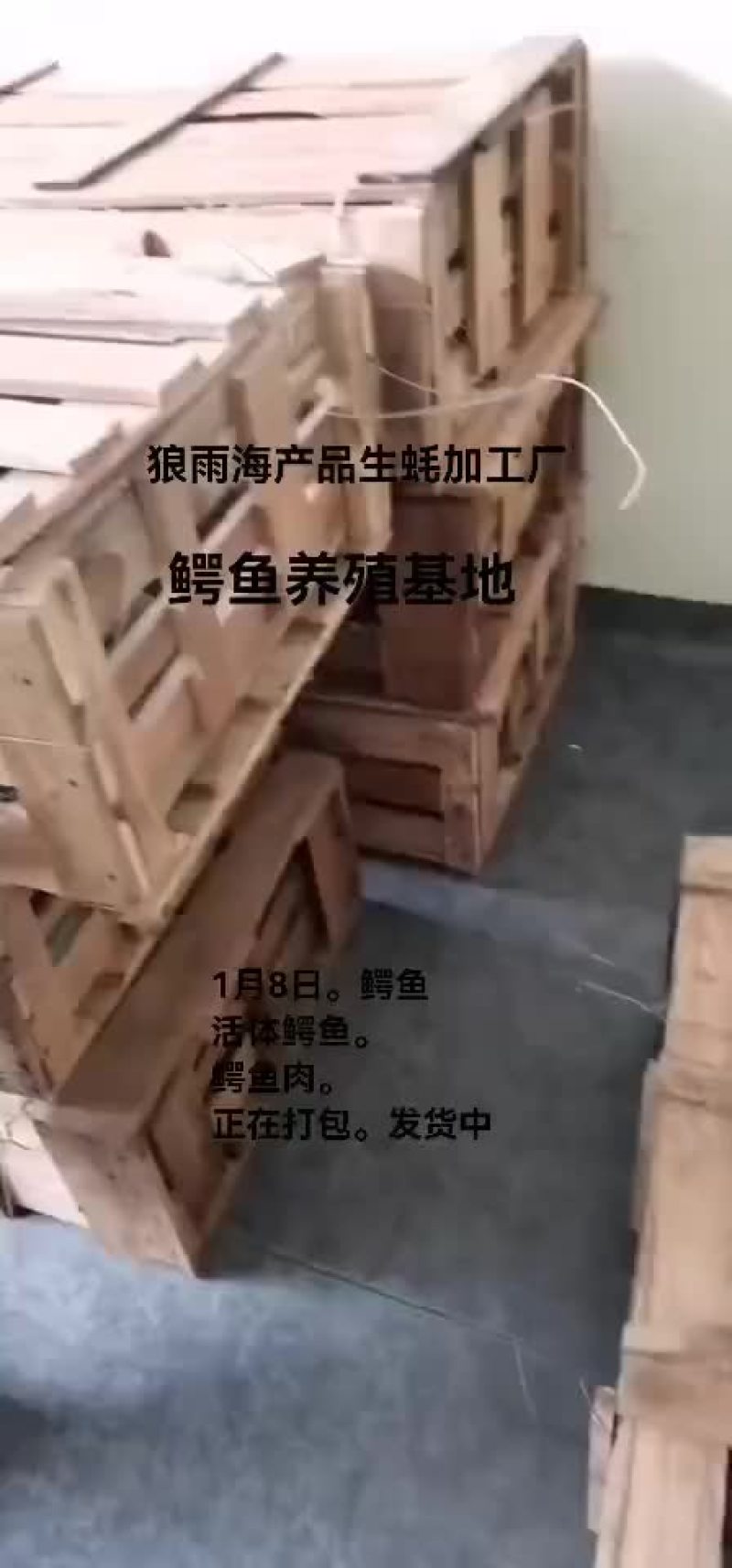 鳄鱼。鳄鱼肉。鳄鱼苗
