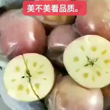 陕西礼泉膜袋，纸夹膜纸袋红富士苹果，冷库货大量现货