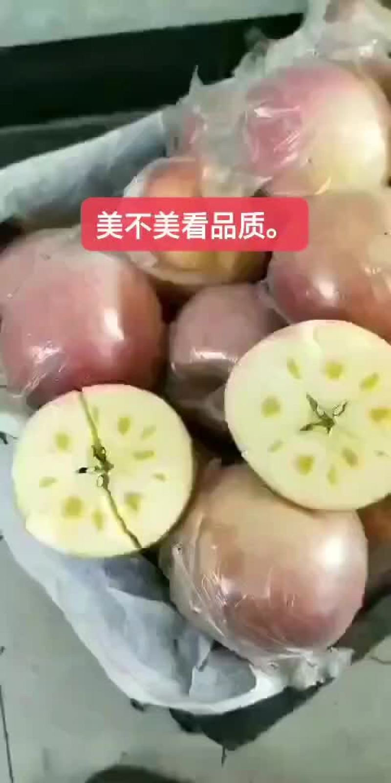 陕西礼泉膜袋，纸夹膜纸袋红富士苹果，冷库货大量现货
