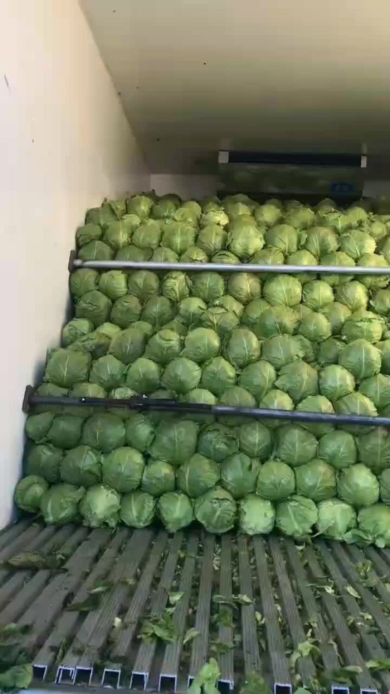 需要大头菜的老板联系我！
