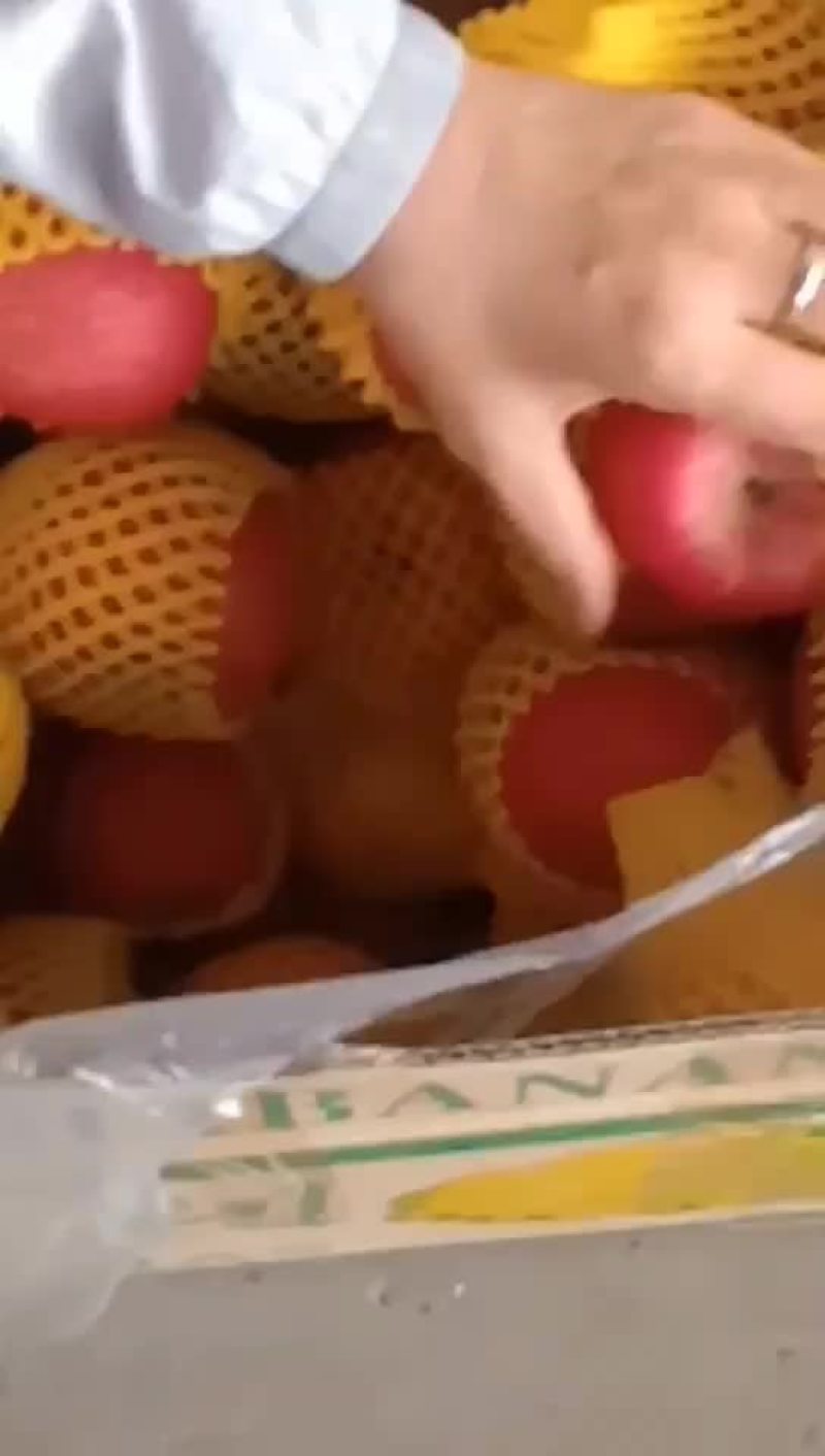 热销陕西礼泉！脆甜纸袋红富士苹果大量上市，有需要的联系