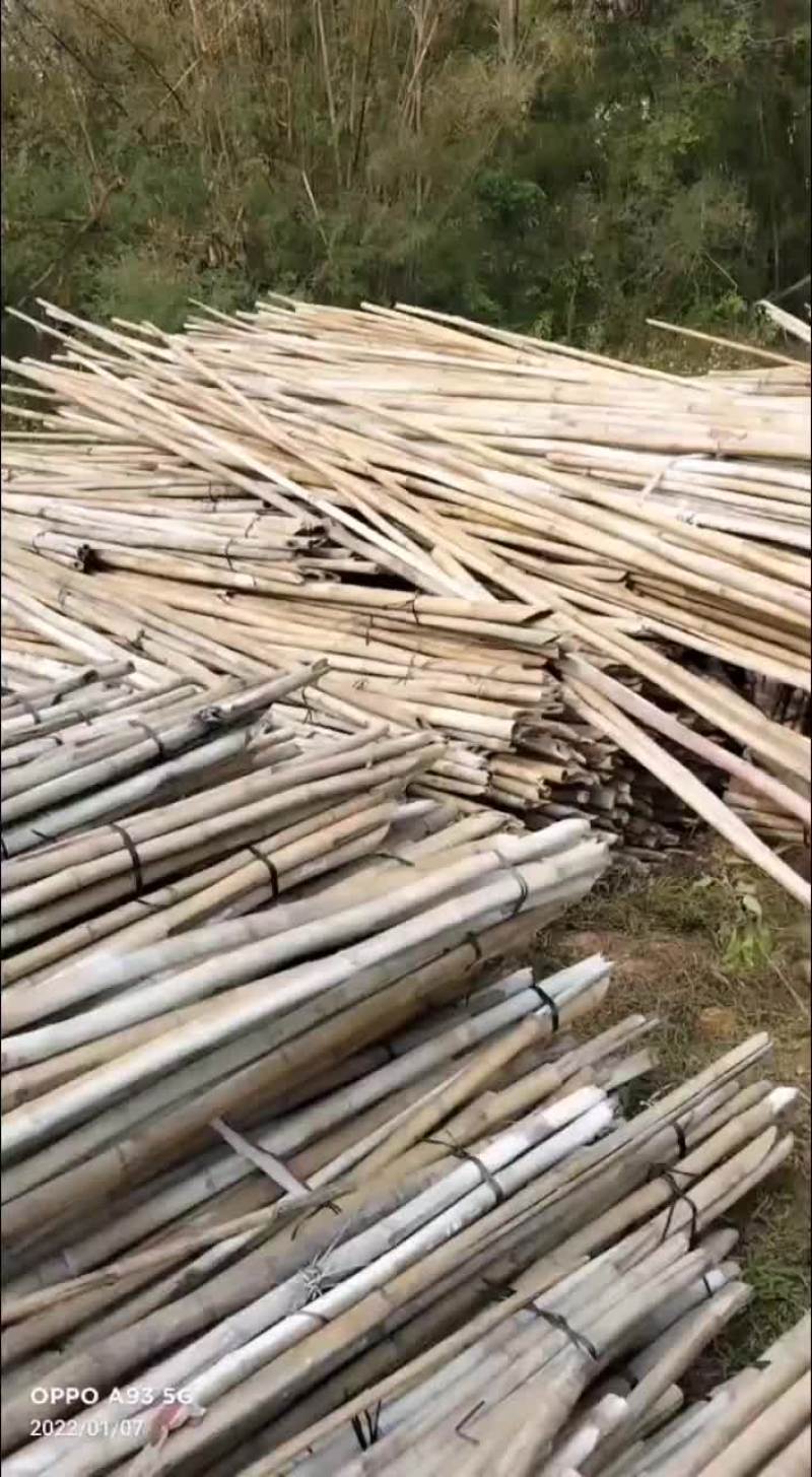 外架排山篙竹