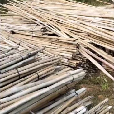 外架排山篙竹