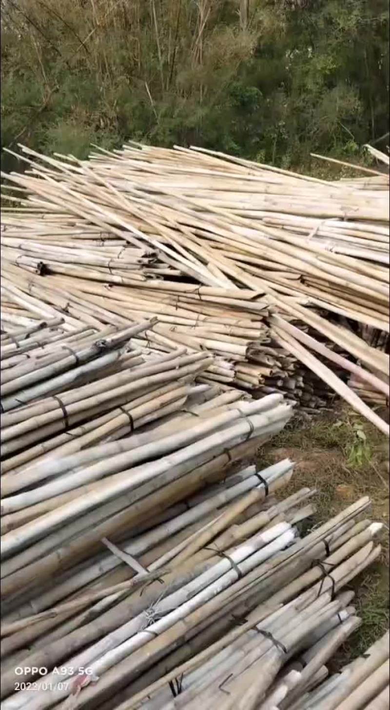 外架排山篙竹