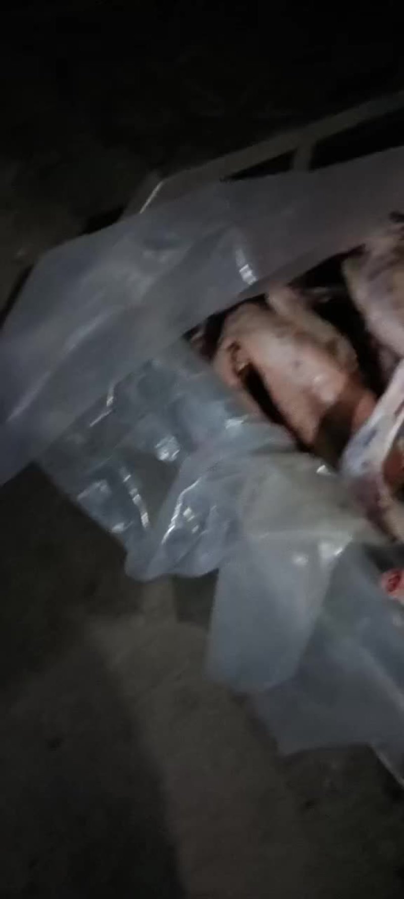 鲜羊肉