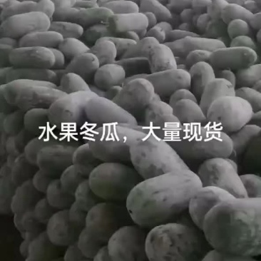 水果小冬瓜