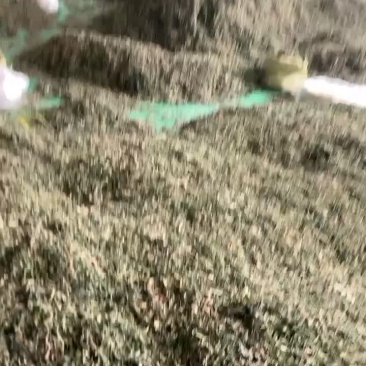 梅干菜