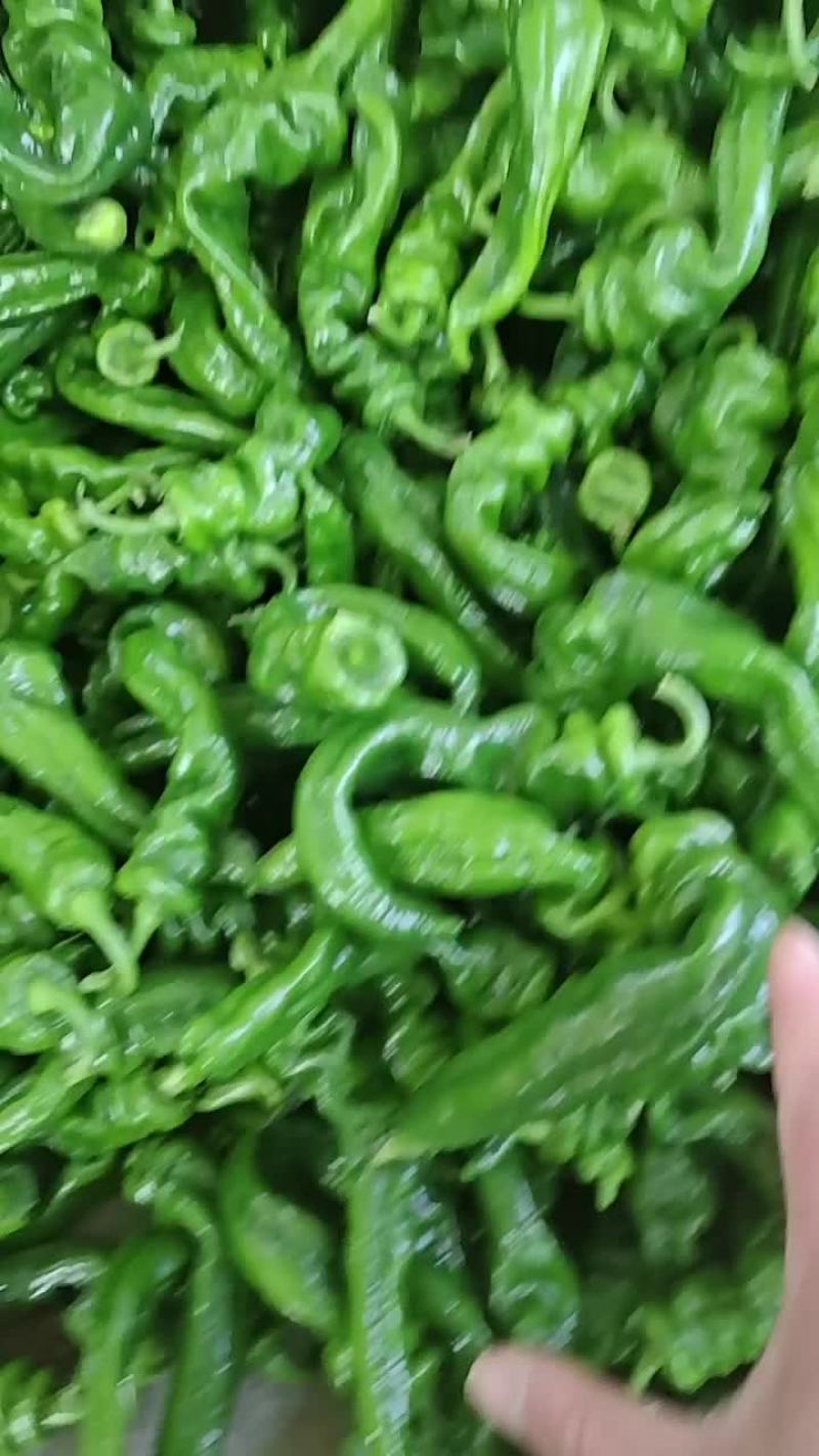 螺丝椒