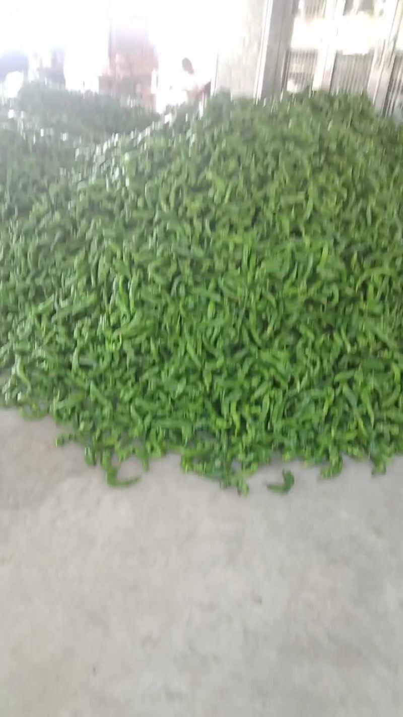 螺丝椒