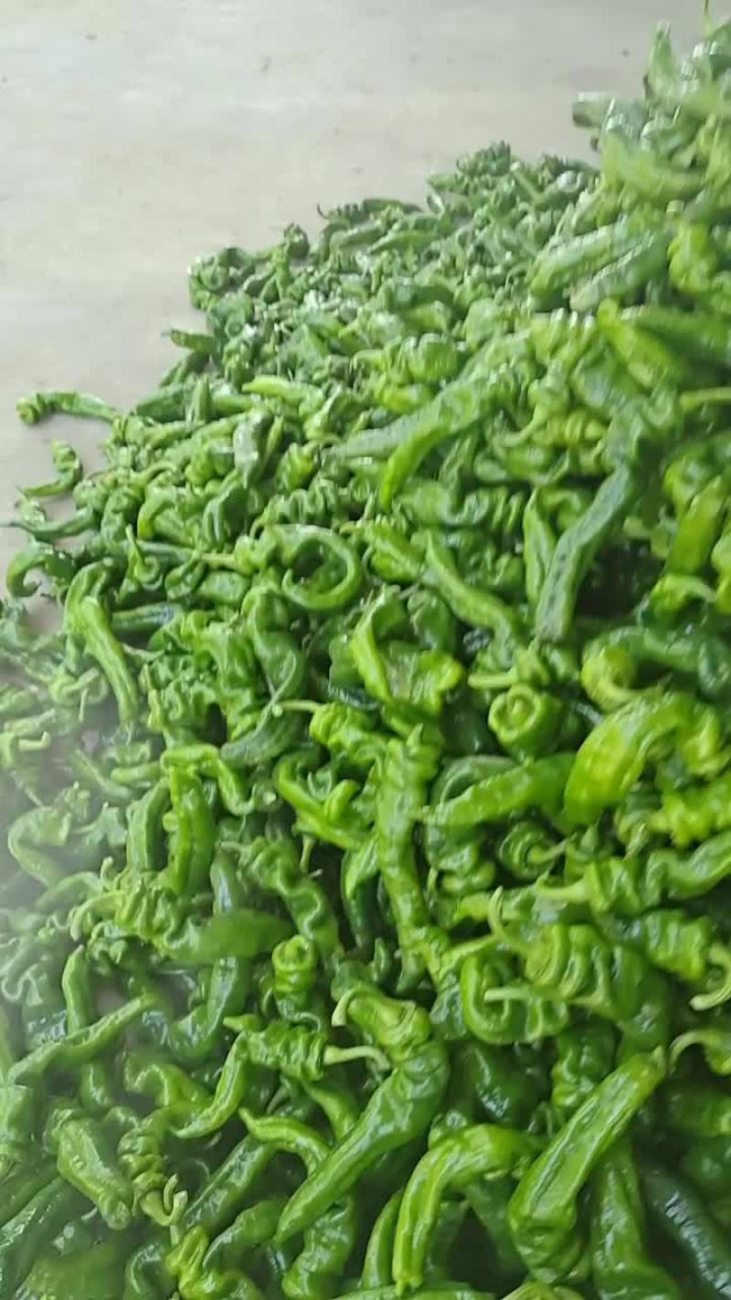 螺丝椒
