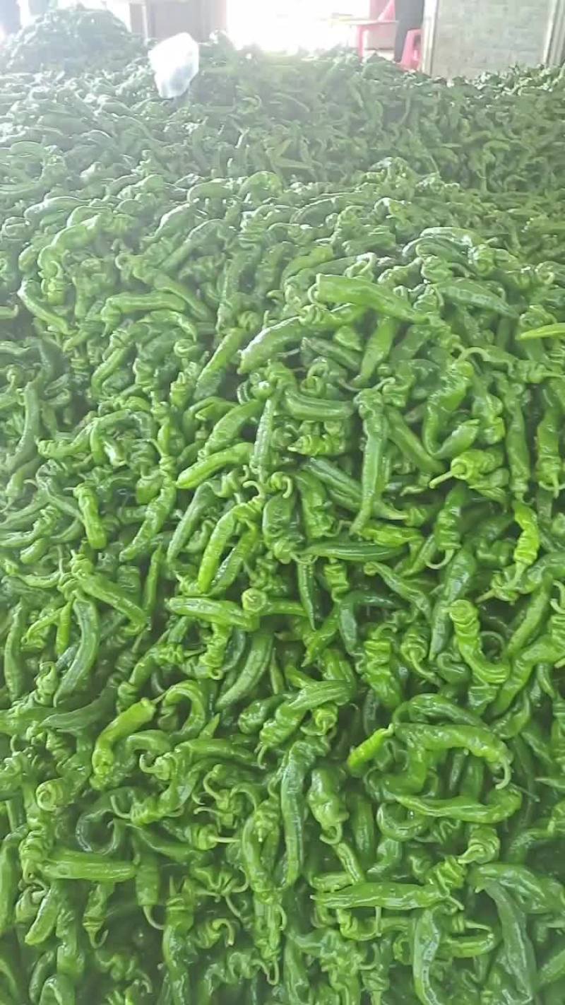 螺丝椒
