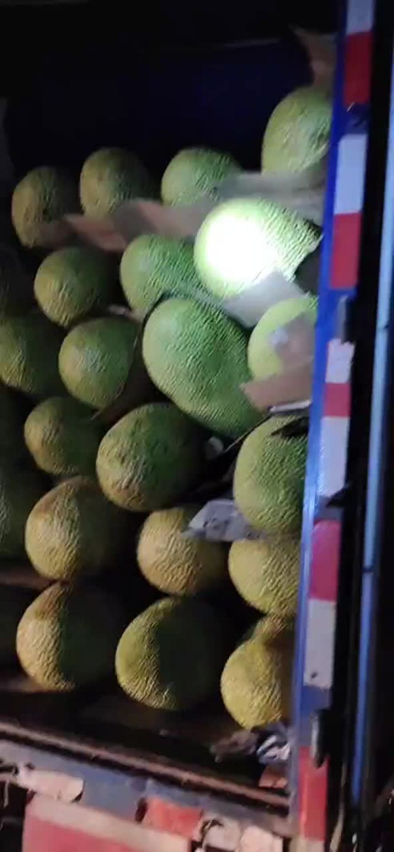 海南三亚青皮菠萝蜜整车出岛，全国发货